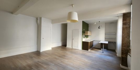 Appartement 1 pièce
