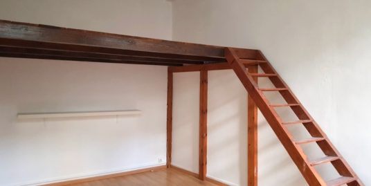 Appartement 1 pièce