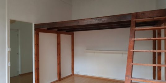 Appartement 1 pièce