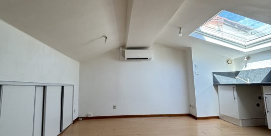 Appartement 1 pièce