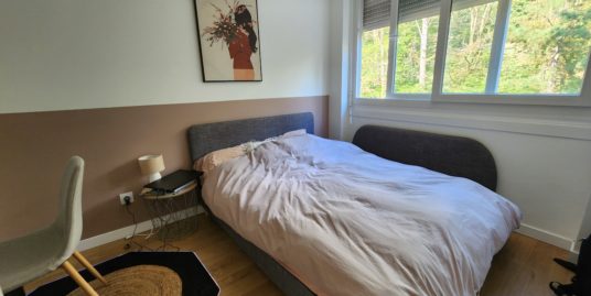 Appartement une pièce meublé