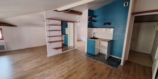Appartement une pièce