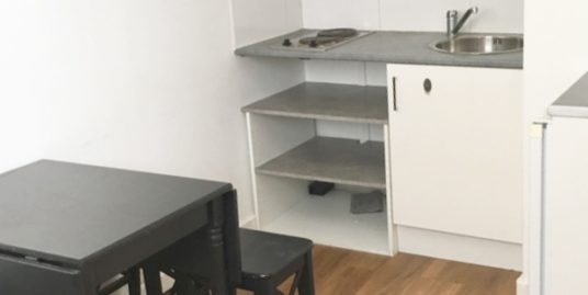 Appartement 1 pièce meublé