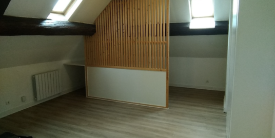 Appartement 1 pièce