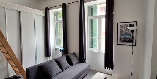 Appartement 1 pièce meublé