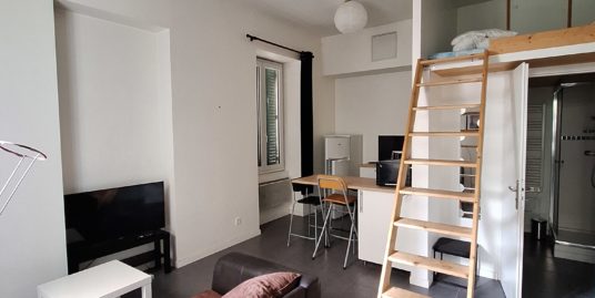 Appartement 1 pièce meublé
