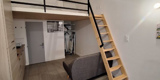 Appartement 1 pièce meublé