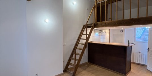 Appartement une pièce