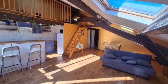 Appartement 2 pièces meublé