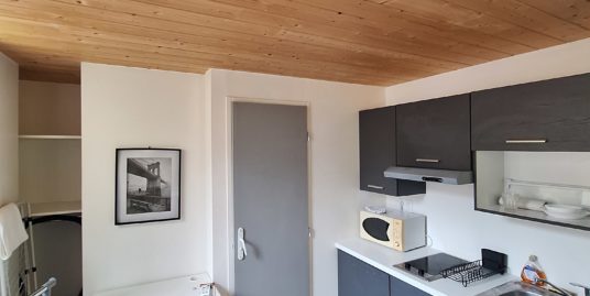 Appartement 1 pièce meublé