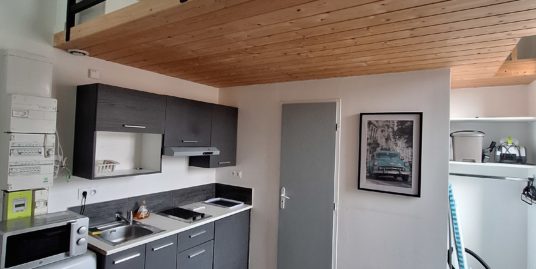 Appartement 1 pièce meublé