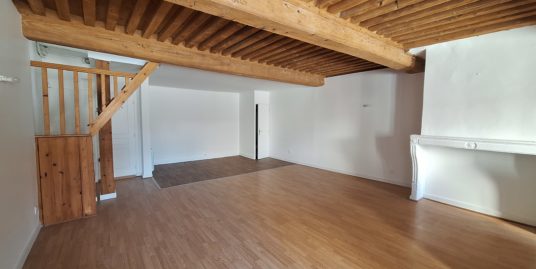 Appartement 2 pièces duplex