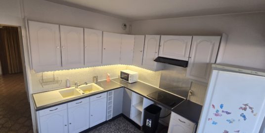 Appartement 4 pièces meublé