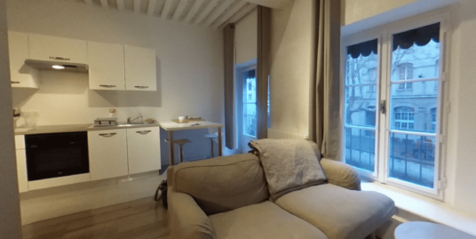 Appartement 1 pièce meublé