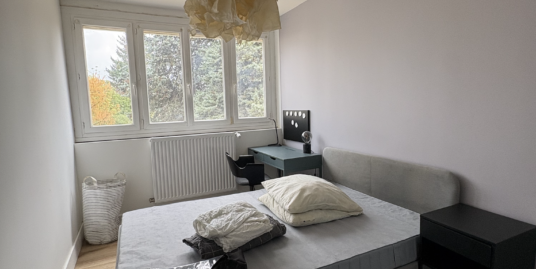 Appartement 1 pièce meublée