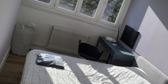Appartement 1 pièce meublée