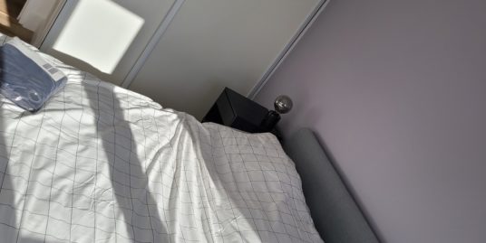 Appartement 1 pièce meublé