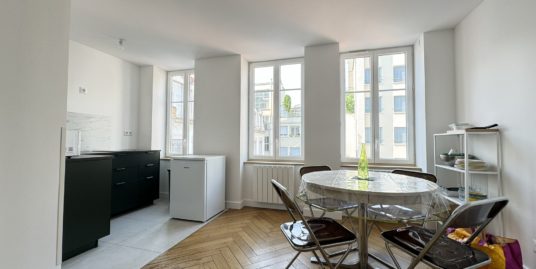 Appartement 1 pièce meublé