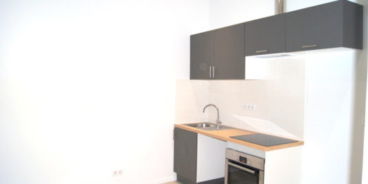 Appartement 1 pièce