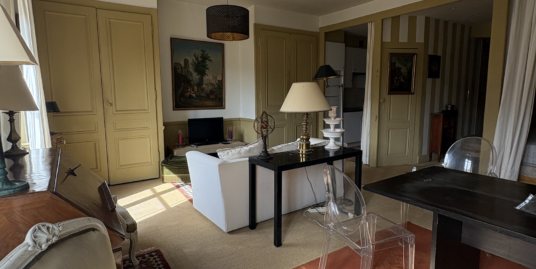 Appartement 1 pièce meublé